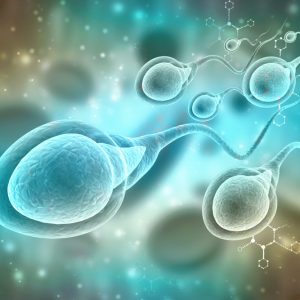 sperm