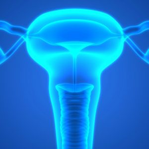 Female,Reproductive,System, ovaries, ovarian cancer