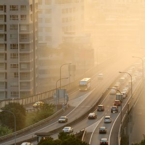 air pollution and fertility