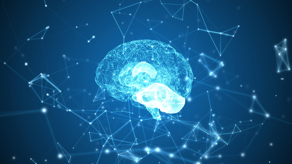 brain