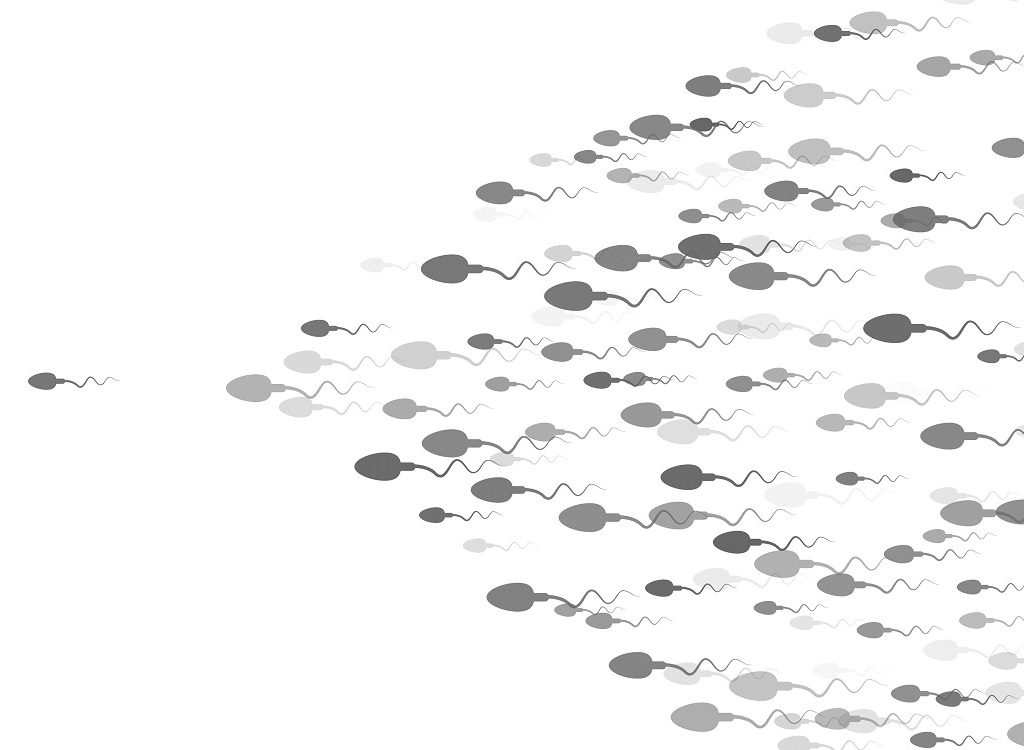 sperm counts and obesity