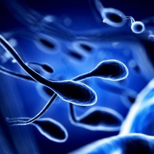 Sperm test