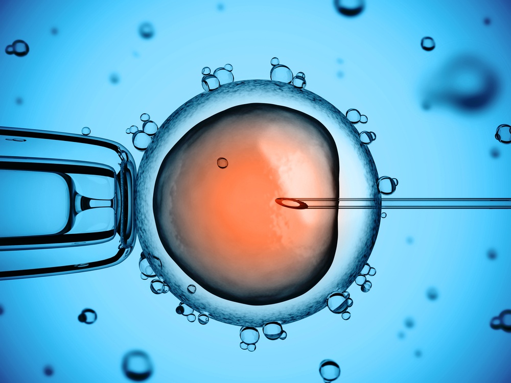 Stem Cell Fertility Treatment