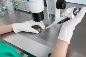 Close Up Of Laboratory Technician Putting Some Substance Into Petri Dish