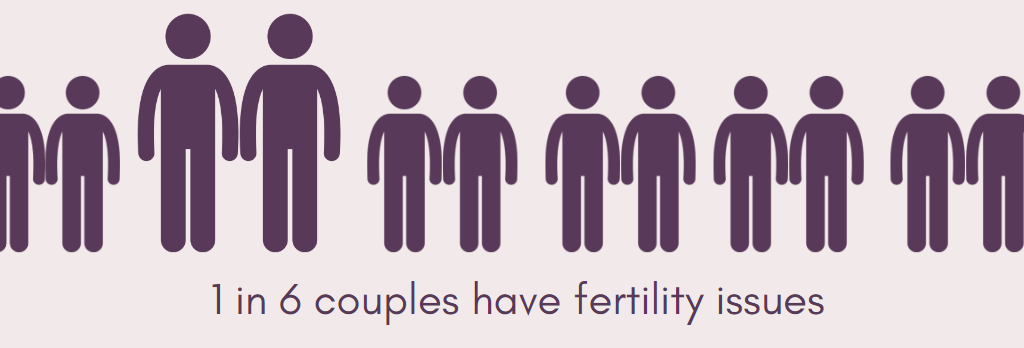 Couples Fertility Issues